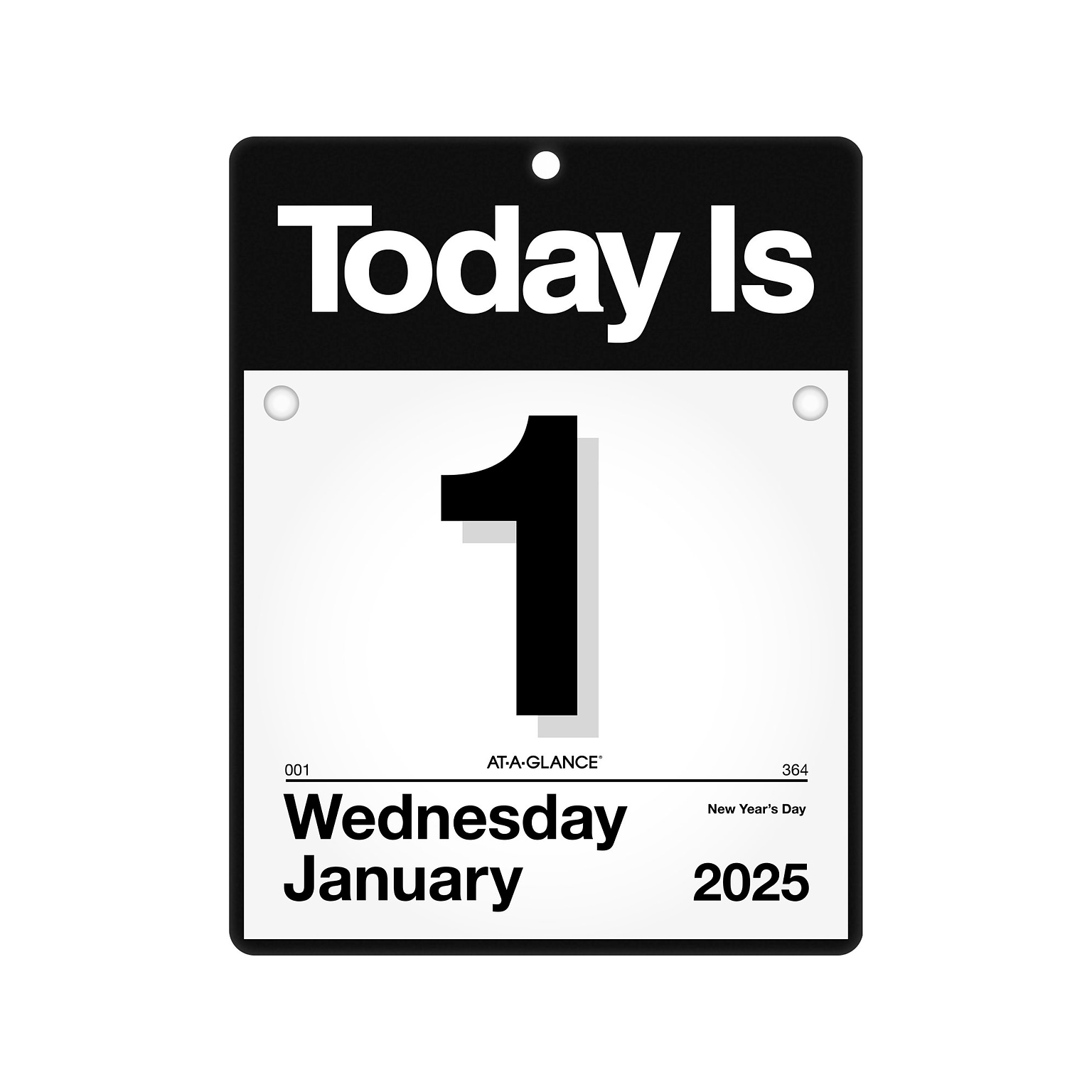 2025 AT-A-GLANCE Today Is 9.5 x 12 Daily Wall Calendar, White/Black (K4-00-25)