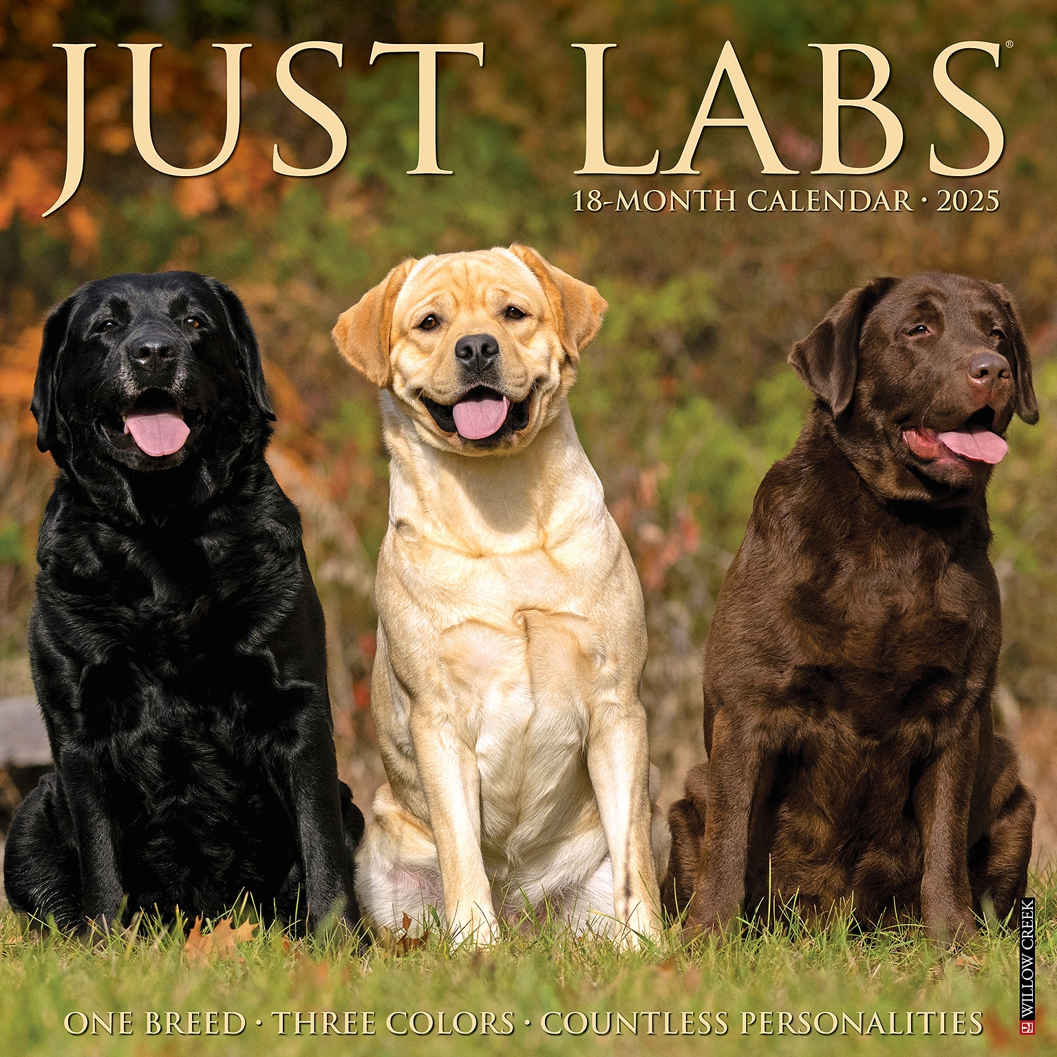 2025 Willow Creek Just Labs 12 x 12 Monthly Wall Calendar (43677)