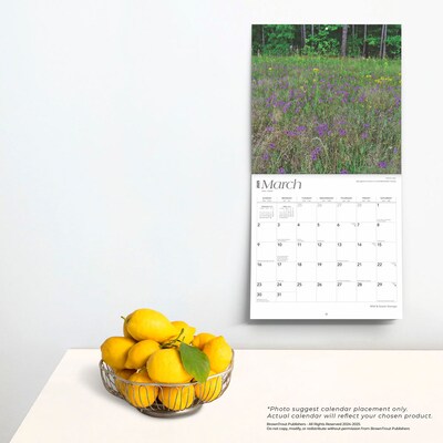 2025 BrownTrout Georgia Wild & Scenic 12" x 12" Monthly Square Wall Calendar (9781975474836)