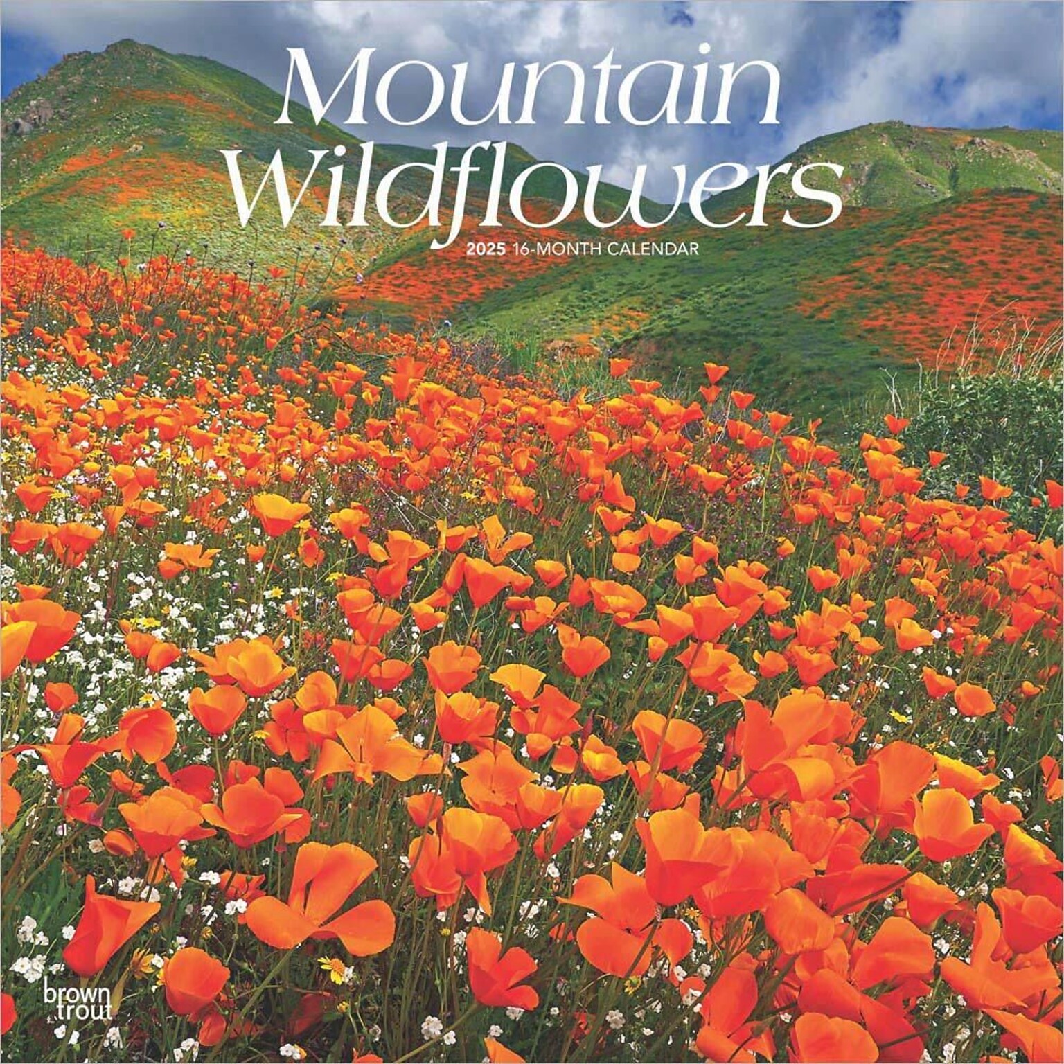 2025 BrownTrout Mountain Wildflowers 12 x 12 Monthly Square Wall Calendar (9781975476038)