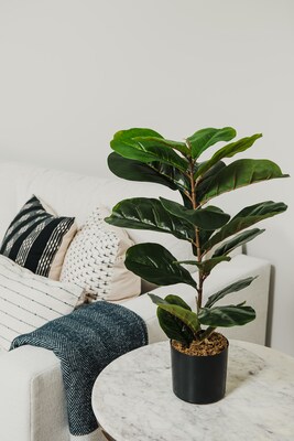 Forever Leaf 28 Artificial Fiddle Fig Leaf Plant in Black Pot (FEV-FIBL28)