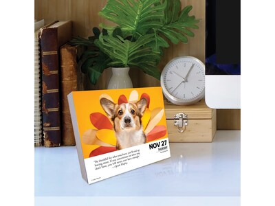 2025 Willow Creek What Dogs Teach Us 5.86" x 4.72" Day-to-Day Calendar (41116)