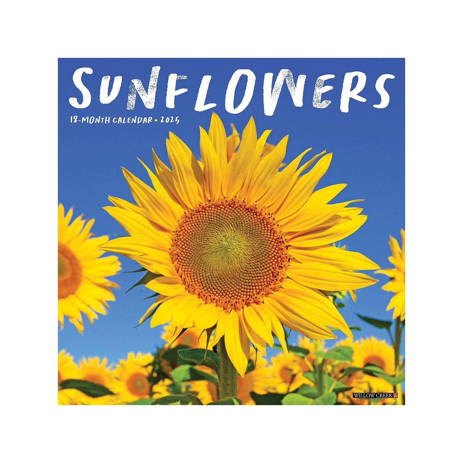 2025 Willow Creek Sunflowers 12 x 12 Monthly Wall Calendar, Yellow/Blue (45039)