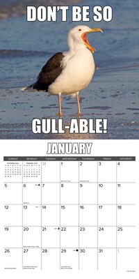 2025 Willow Creek Fowl Language 12" x 12" Yearly Wall Calendar (42922)