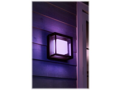 Philips Econic Hue LED Wall Outdoor Light, Glass  (1743830V7)