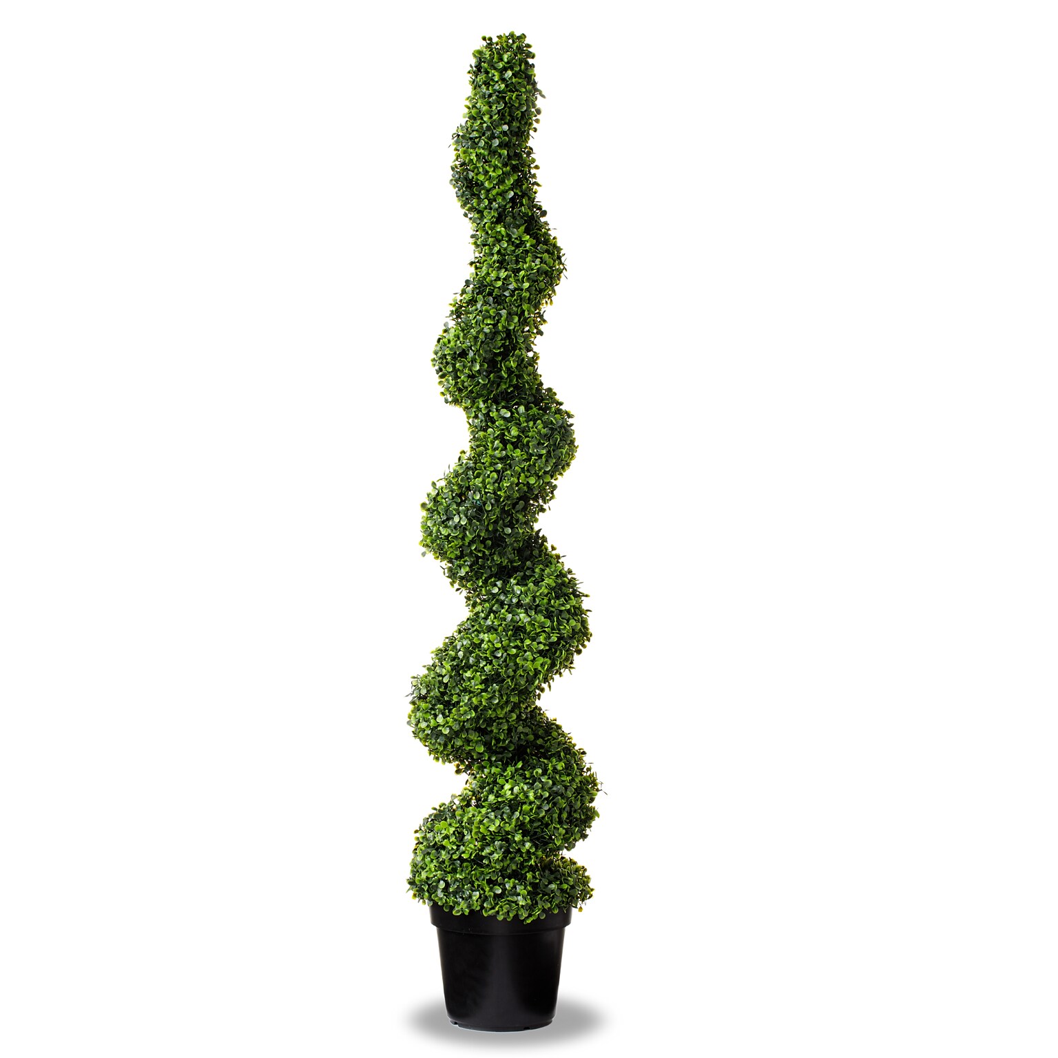 Forever Leaf 36 Spiral Boxwood in Black Pot, 2/Pack (FEV-SPI36)