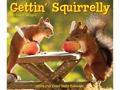 2025 Willow Creek Gettin' Squirrelly 5.86" x 4.72" Day-to-Day Calendar (40850)