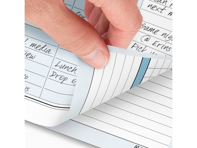 2025 AT-A-GLANCE Zenscapes 5.5" x 8.5" Daily & Monthly Planner Refill, Multicolor (281-225-25)