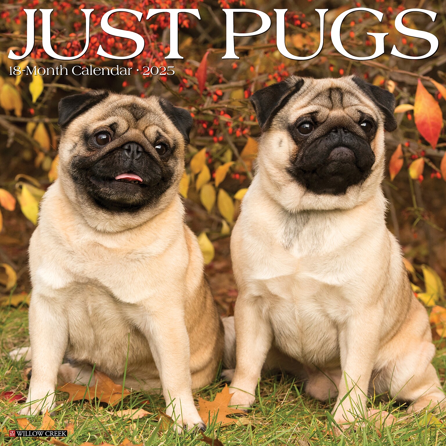 2025 Willow Creek Just Pugs 12 x 12 Monthly Wall Calendar (44575)