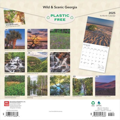 2025 BrownTrout Georgia Wild & Scenic 12" x 12" Monthly Square Wall Calendar (9781975474836)