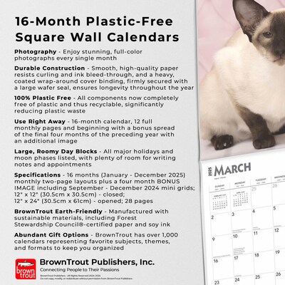 2025 BrownTrout Siamese Cats 12" x 12" Monthly Wall Calendar (9781975477769)