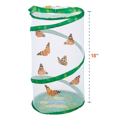 Insect Lore Giant Butterfly Garden Deluxe Growing Kit (ILP01070)