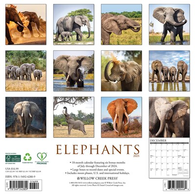 2025 Willow Creek Elephants 12 x 12 Monthly Wall Calendar (42809)