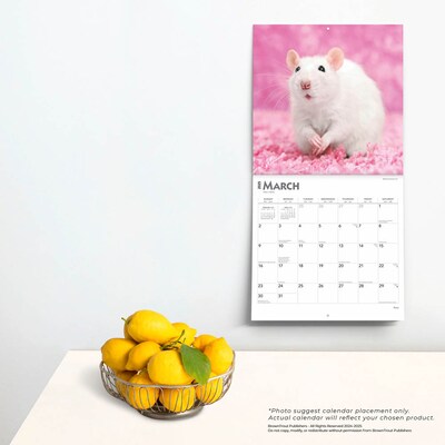 2025 BrownTrout Rats 12" x 12" Monthly  Wall Calendar (9781975477615)