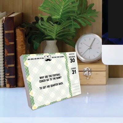 2025 Willow Creek Dad Jokes Are How Eye Roll 5.4" x 6.2" Day-to-Day Calendar (46692)