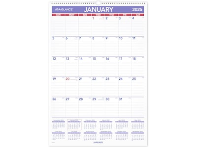 2025 AT-A-GLANCE 15.5 x 22.75 Monthly Wet-Erasable Wall Calendar (PMLM03-28-25)