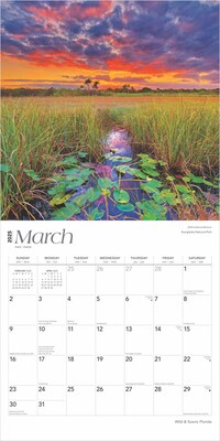 2025 BrownTrout Florida Wild & Scenic 12" x 24" Monthly Square Wall Calendar (9781975474812)