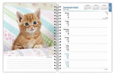 2025 BrownTrout Kittens 6" x 7.75" Weekly Engagement Planner, Paper Cover, Multicolored (9781975473136)