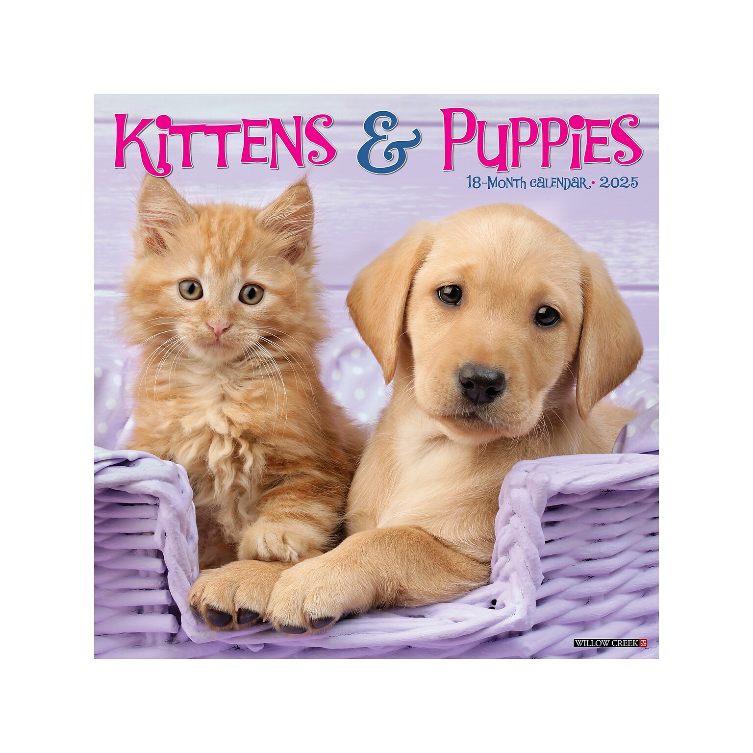 2025 Willow Creek Kittens & Puppies 12 x 12 Monthly Wall Calendar (43646)