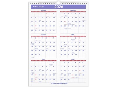 2025 AT-A-GLANCE 12 x 17 Monthly Wall Calendar (PM2-28-25)