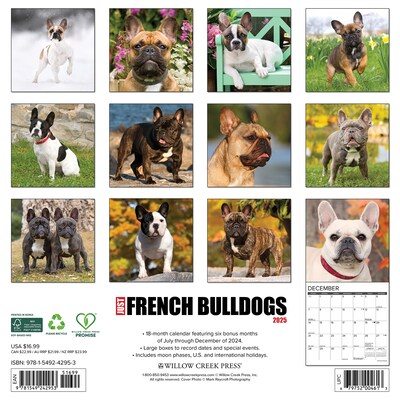 2025 Willow Creek Just French Bulldogs 12 x 12 Monthly Wall Calendar (42953)