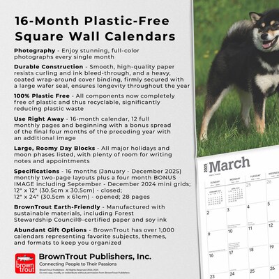 2025 BrownTrout Shiba Inu 12" x 24" Monthly Square Wall Calendar, (9781975477738)