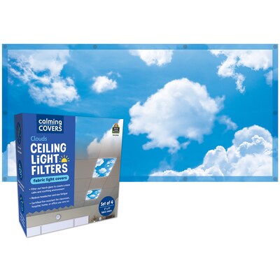 Teacher Created Resources Calming Covers Ceiling Light Filters, 2 x 4, Clouds, 4/Pack (TCR20140)