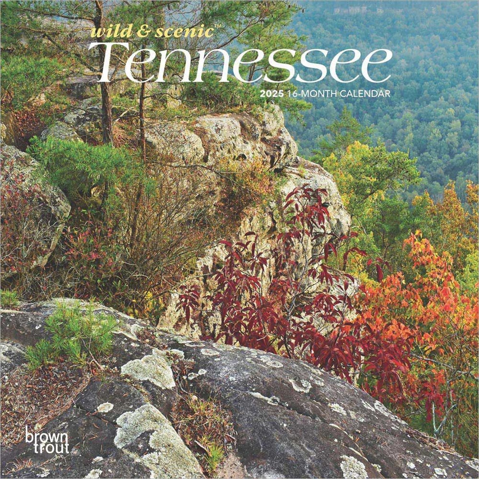 2025 BrownTrout Tennessee Wild & Scenic 7 x 7 Monthly Mini Wall Calendar (9781975473990)