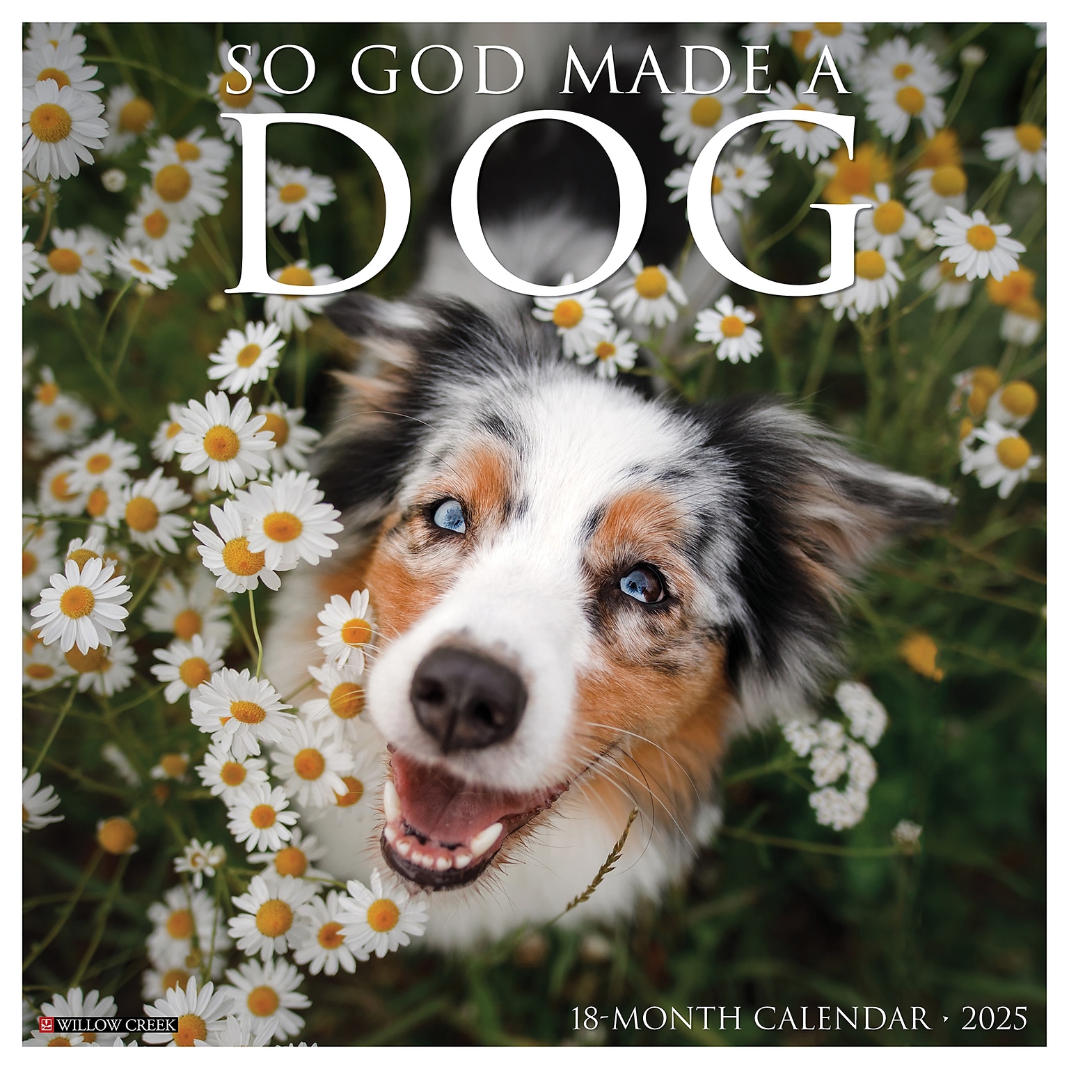 2025 Willow Creek So God Made a Dog 12 x 12 Monthly Wall Calendar (44971)