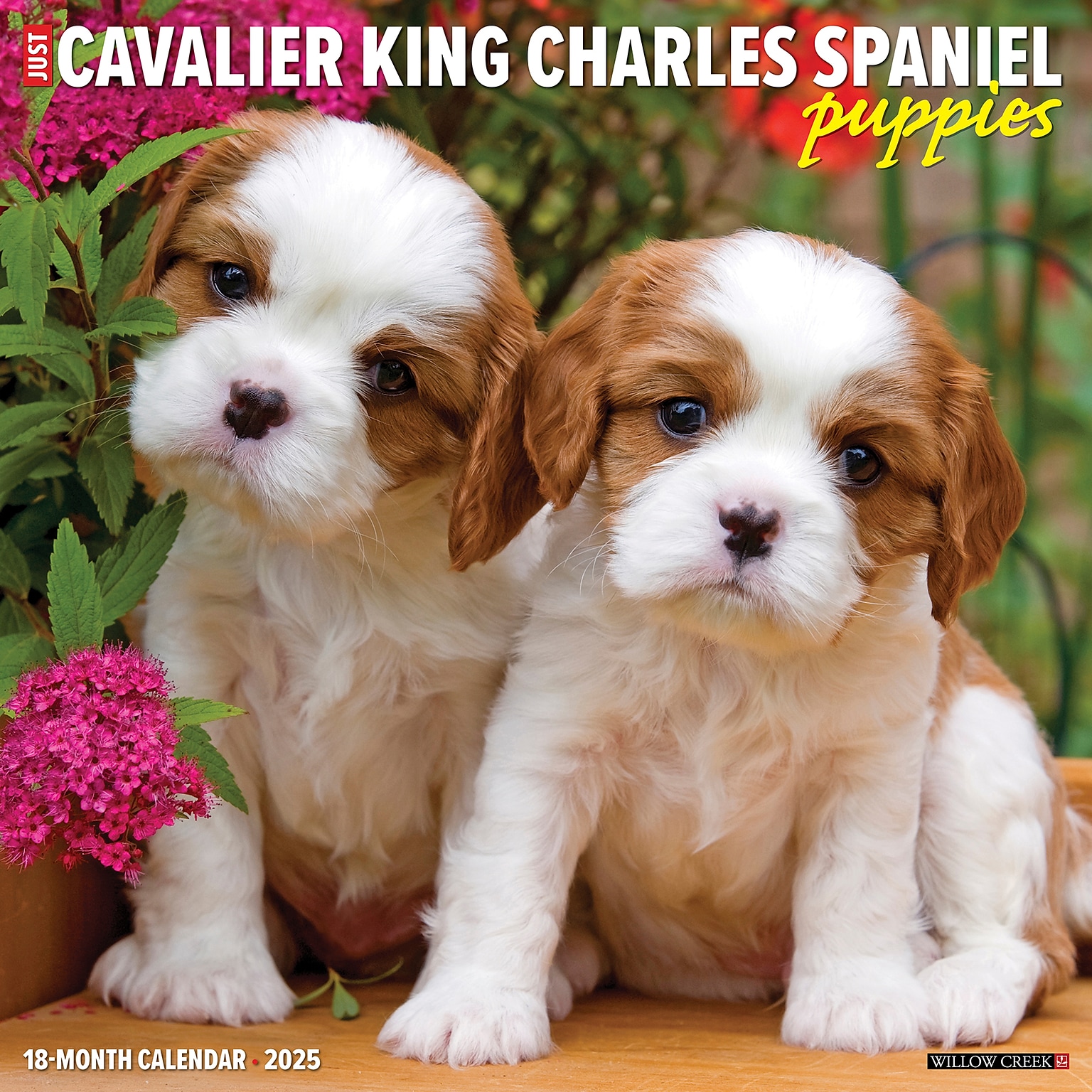 2025 Willow Creek Just Cavalier King Charles Spaniel Puppies 12 x 12 Monthly Wall Calendar (42267)