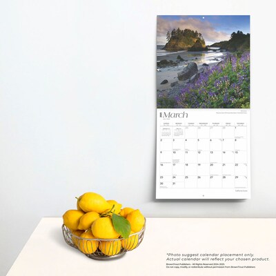 2025 BrownTrout California Coast 12" x 12" Monthly Wall Calendar (9781975474546)