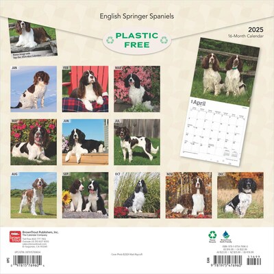 2025 BrownTrout English Springer Spaniels 12" x 12" Monthly Wall Calendar (9781975476960)