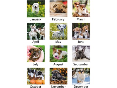 2025 AT-A-GLANCE Puppies 21.75 x 17 Monthly Desk Pad Calendar (DMD166-32-25)