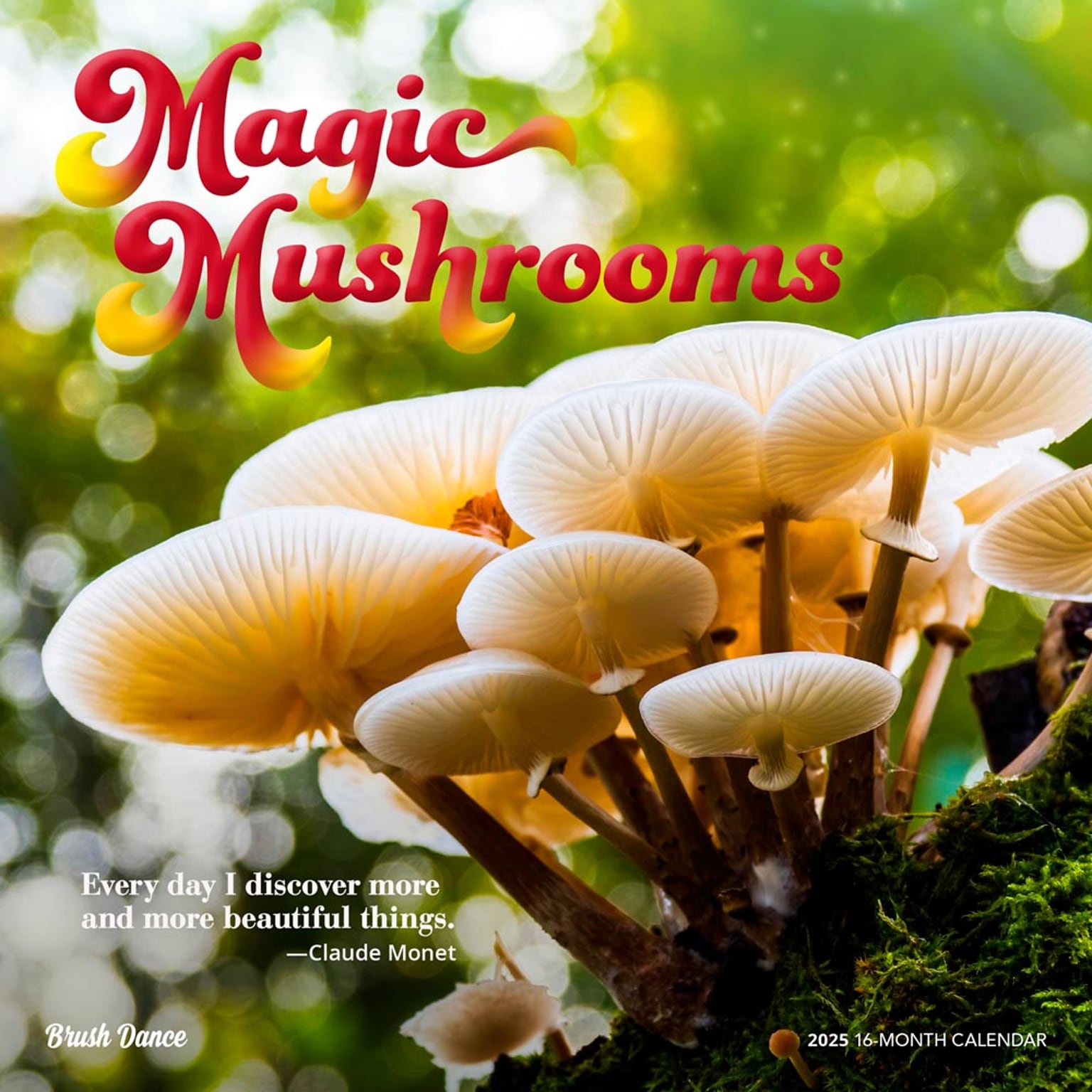 2025 Brush Dance Magic Mushrooms 12 x 12 Monthly Square Wall Calendar (9781975478698)