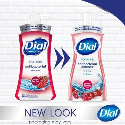 Dial Antibacterial Foaming Hand Soap, Power Berries Scent, 8/Carton (017000347271)