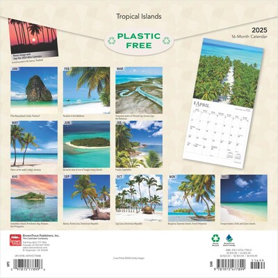 2025 BrownTrout Tropical Islands 12" x 12" Monthly Wall Calendar (9781975477899)