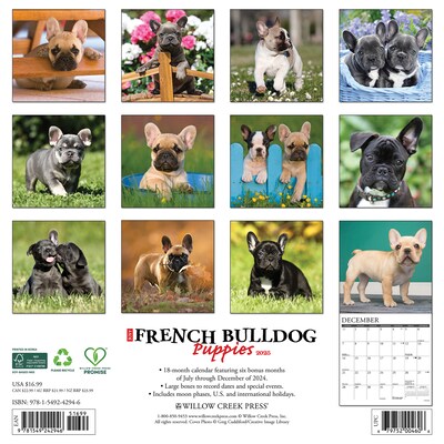 2025 Willow Creek Just French Bulldog Puppies 12 x 12 Monthly Wall Calendar (42946)