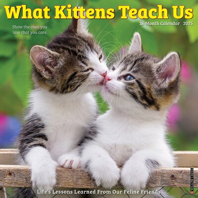 2025 Willow Creek What Kittens Teach Us 12 x 12 Yearly Wall Calendar (45398)