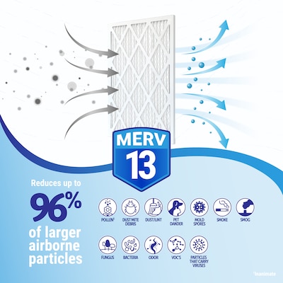 Brighton Professional™ MERV 13 12" x 20" x 1"/11.5" x 19.5" Pleated Air Filter; 4/Pack (FD12X20_4)