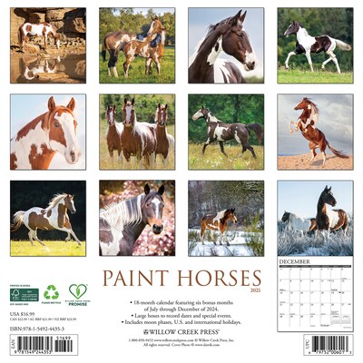 2025 Willow Creek Paint Horses 12 x 12 Monthly Wall Calendar (44353)