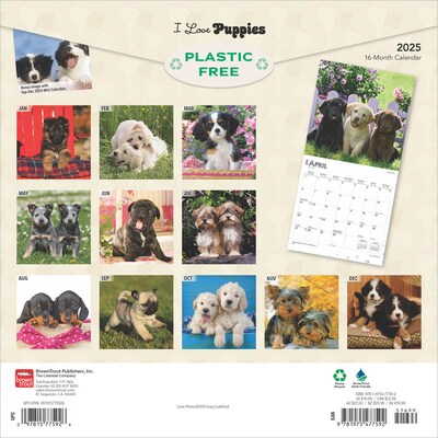 2025 BrownTrout I Love Puppies 12" x 12" Monthly  Wall Calendar (9781975477592)