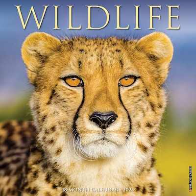 2025 Willow Creek Wildlife 12 x 12 Monthly Wall Calendar (45480)