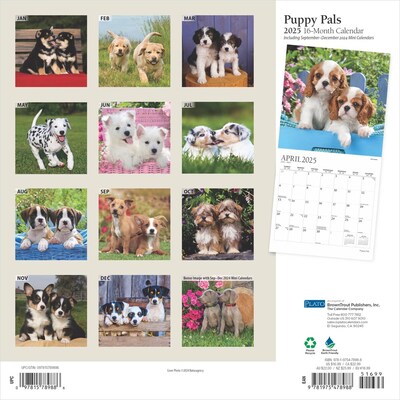 2025 Plato Puppy Pals 12 x 12 Monthly Square Wall Calendar (9781975478988)