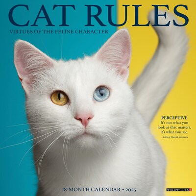 2025 Willow Creek Cat Rules 12 x 12 Monthly Wall Calendar (42199)