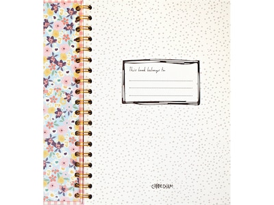 Carpe Diem Ballerina Pink Check 1-Subject Notebook, 7.5" x 9.75", Wide-Ruled, 80 Sheets, Pink/White (9377-CD)