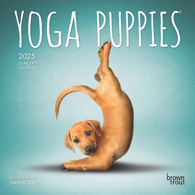 2025 BrownTrout Yoga Puppies 7 x 14 Monthly Mini Wall Calendar, (9781975479565)