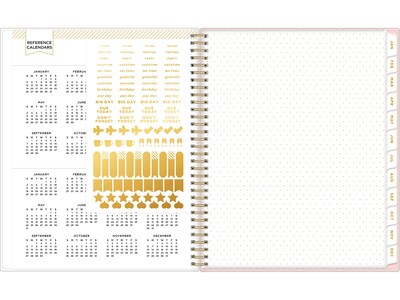 2025 Blue Sky Day Designer Roses Blush 8.5" x 11" Weekly & Monthly Planner, Plastic Cover, Multicolor (140092-25)