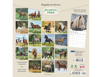 2024-2025 Plato Magnificent Horses 12 x 12 Academic & Calendar Monthly Wall Calendar (978197548133