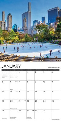 2025 Willow Creek New York City 12" x 12" Monthly Wall Calendar (44193)