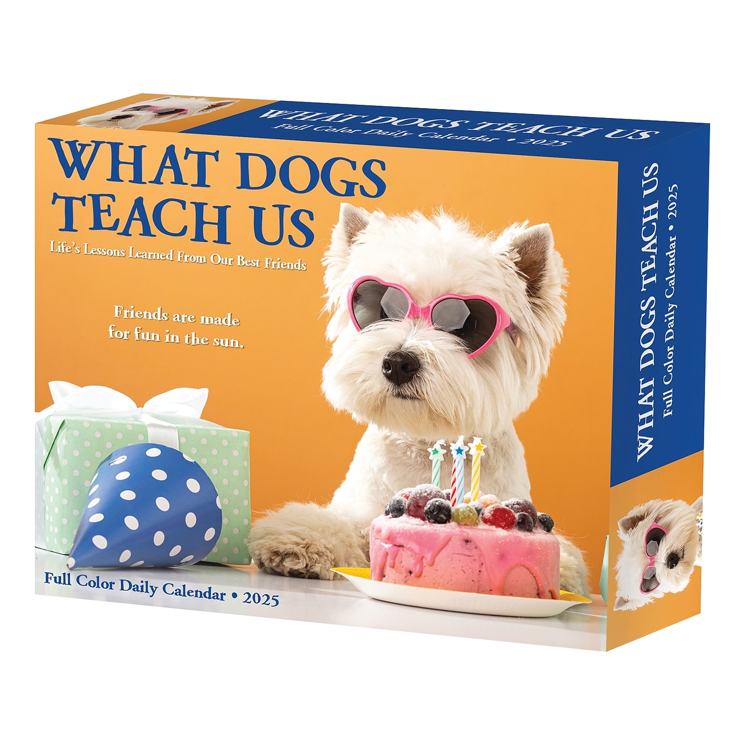 2025 Willow Creek What Dogs Teach Us 5.86 x 4.72 Day-to-Day Calendar (41116)